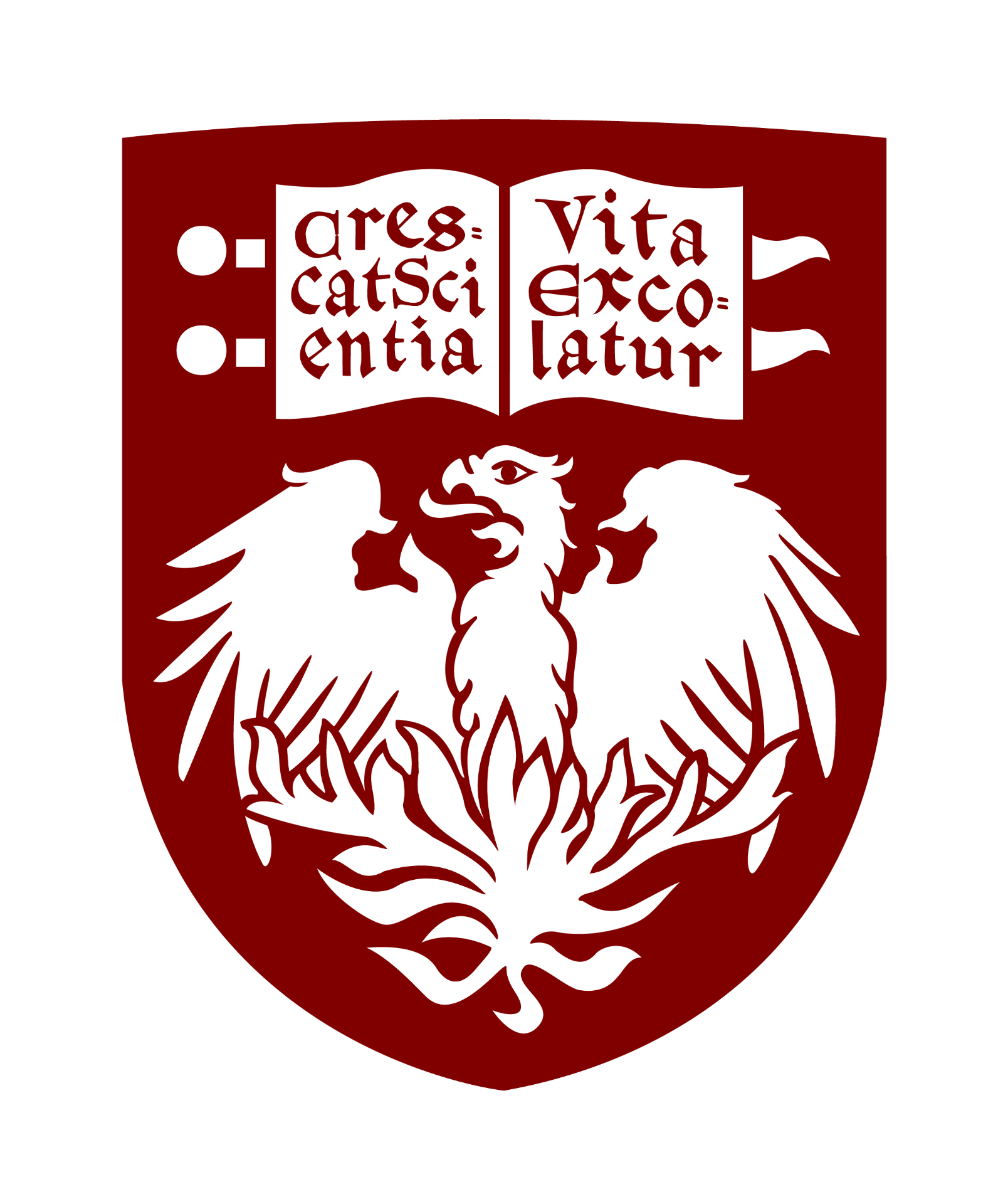University of Chicago